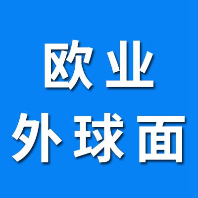 歐業高端外球面軸承