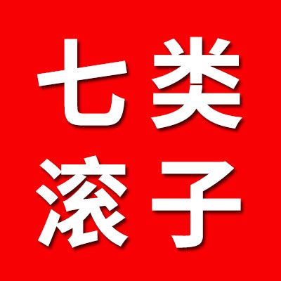七類正品滾子經銷處