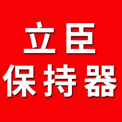 立臣鋼球保持器