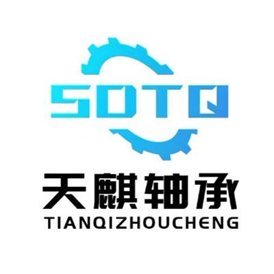 臨清市天麒軸承制造有限公司