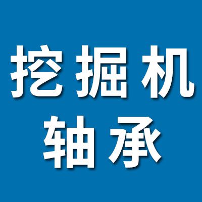價格表（龍欣挖掘機軸承）