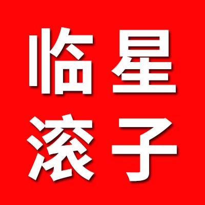 山東臨星滾動體制造