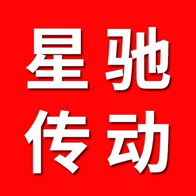 臨西縣星馳傳動件有限公司