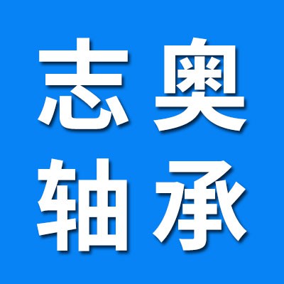 志奧三類軸承
