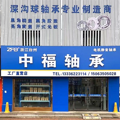 臺州 - (ZFB)中福軸承