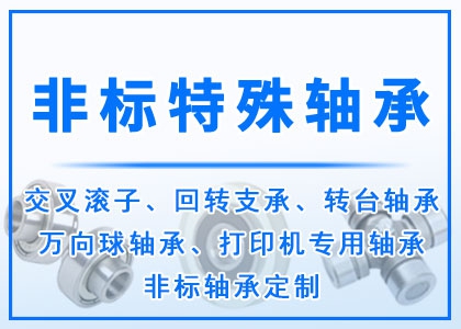  非標丨特殊丨異型軸承定做