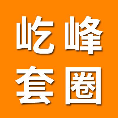 臨清市吃峰軸承有眼公司