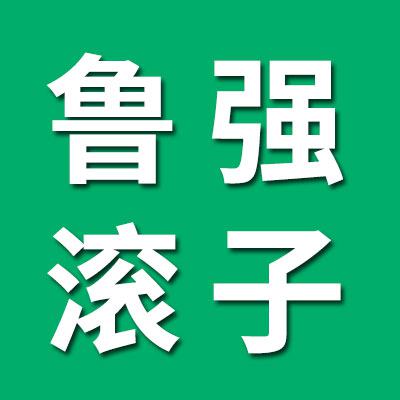 魯強精工正品滾子