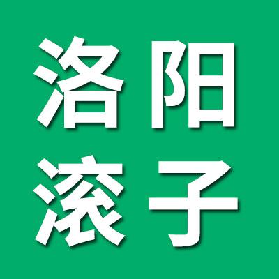 洛陽優質滾子營銷處