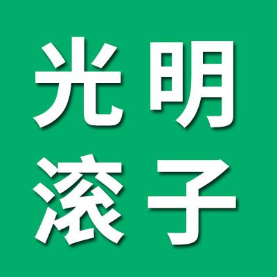 石家莊光明滾子