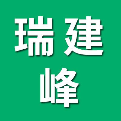 瑞建峰七類精密滾子