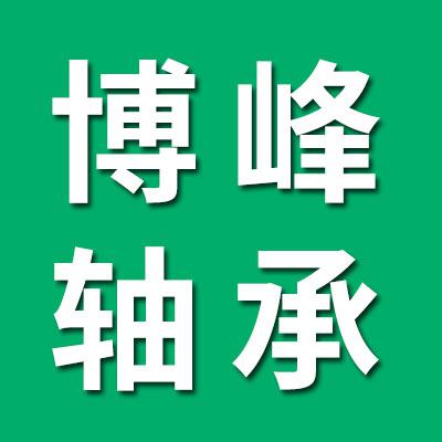 博峰微型軸承有限公司