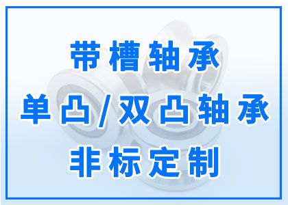 帶槽軸承丨單凸、雙凸軸承丨非標定制