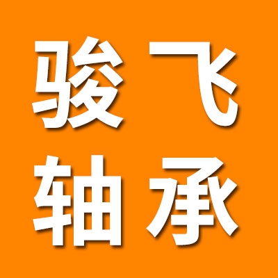 山東駿飛軸承有限公司